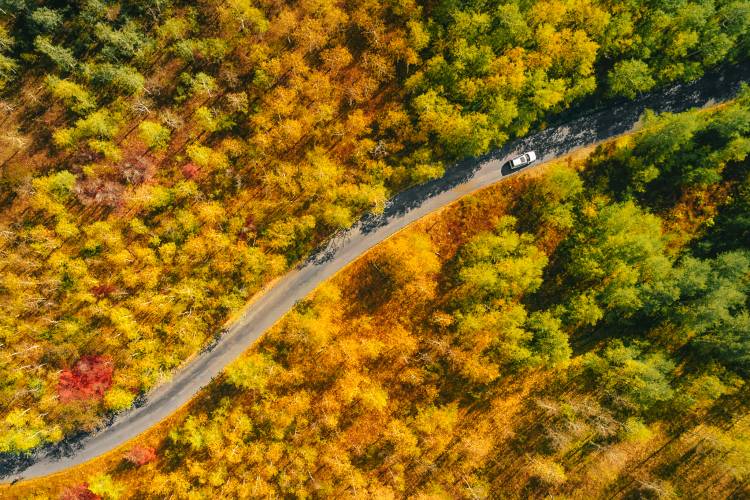 Fall Colors & Fall Foliage in Park City Utah